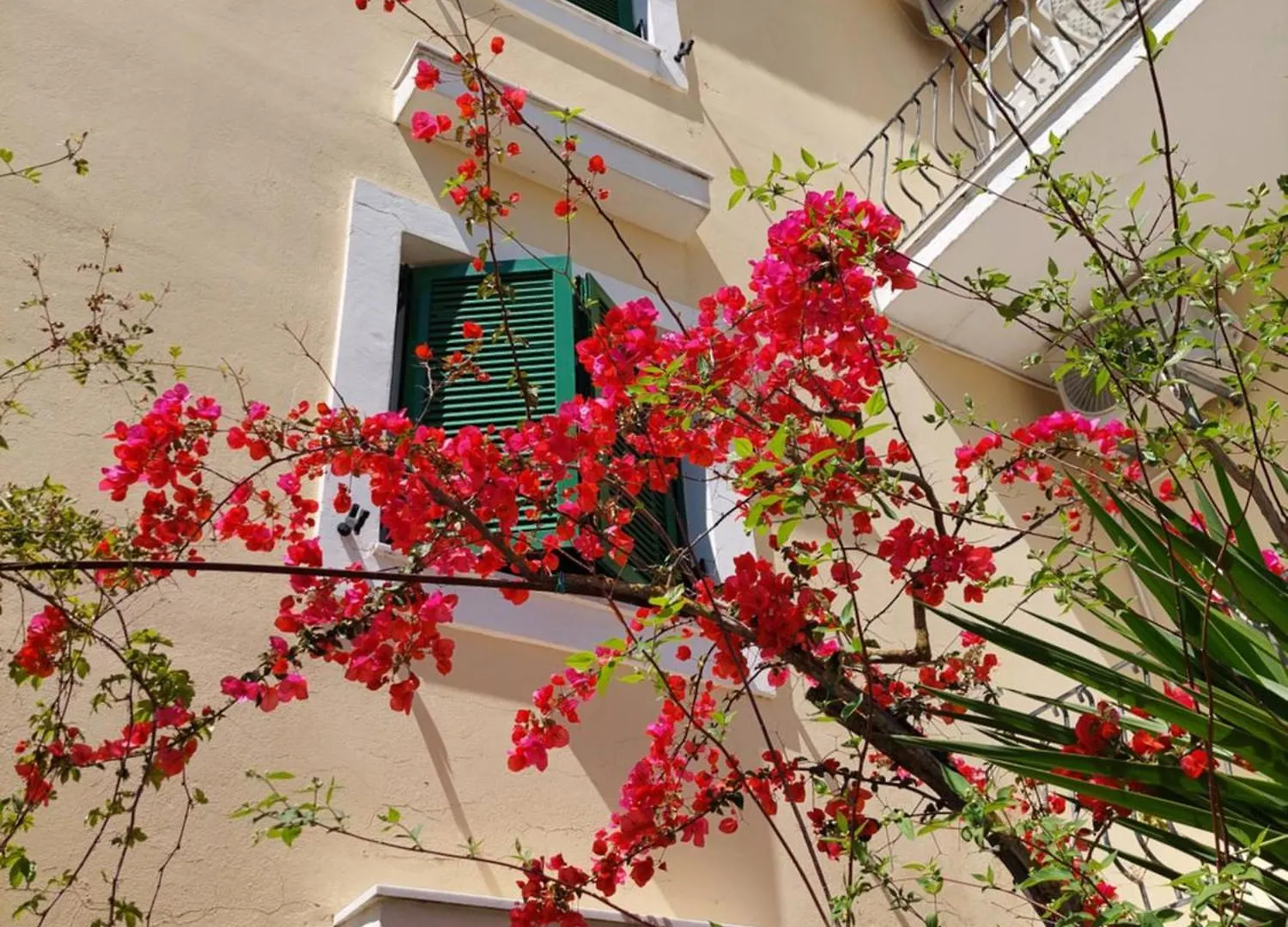 Ammousa Hotel Apartments Ληξούρι Ελλάδα